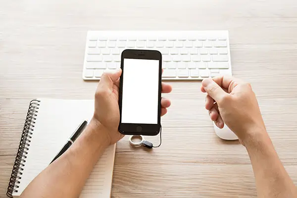 春花美食总店在哪里